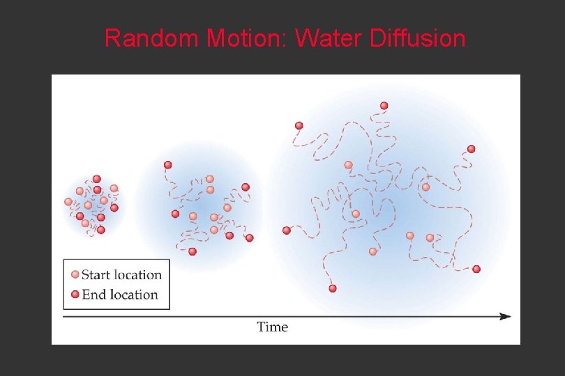 Random Motion: Water Diffusion 