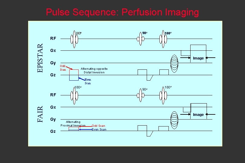 Pulse Sequence: Perfusion Imaging 90 o 180 o EPISTAR RF Gx Image Gy Gz