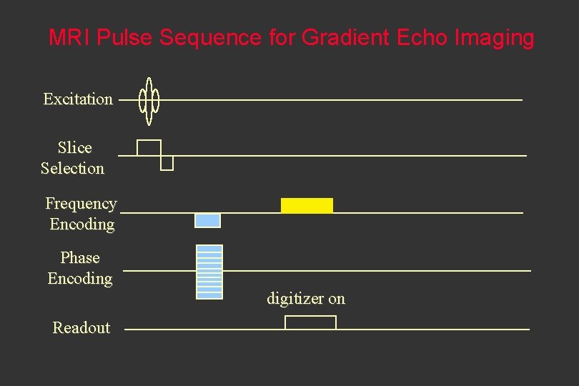 MRI Pulse Sequence for Gradient Echo Imaging Excitation Slice Selection Frequency Encoding Phase Encoding