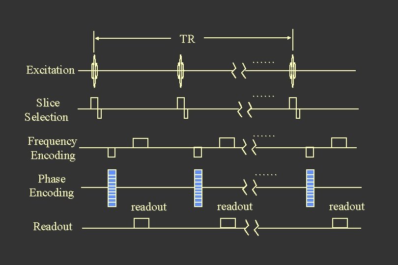 TR …… Excitation …… Slice Selection …… Frequency Encoding …… Phase Encoding readout Readout