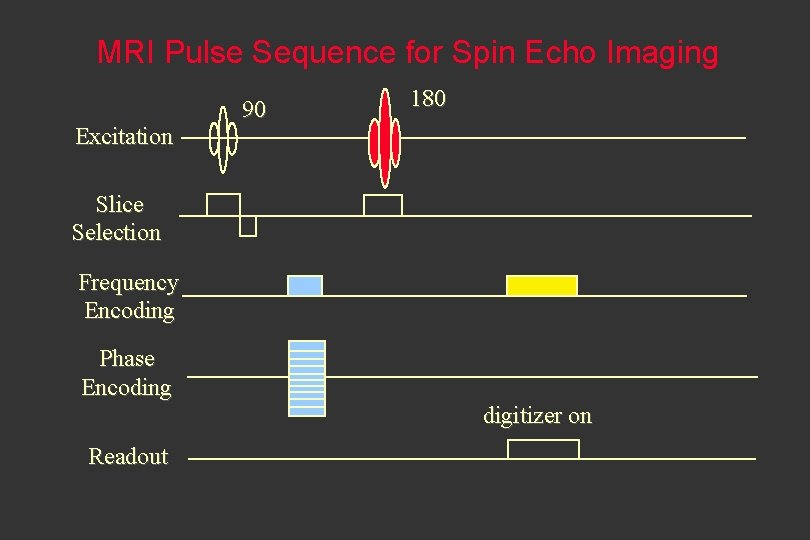 MRI Pulse Sequence for Spin Echo Imaging Excitation 90 180 Slice Selection Frequency Encoding