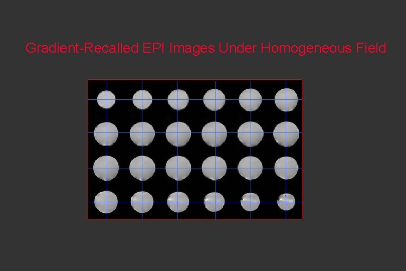 Gradient-Recalled EPI Images Under Homogeneous Field 