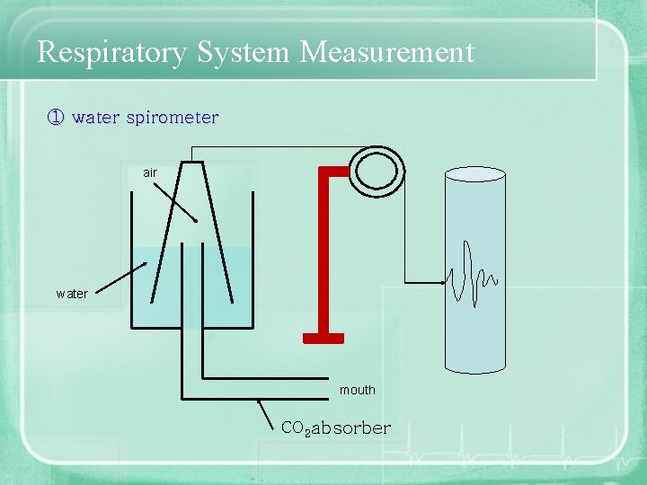 Respiratory System Measurement ① water spirometer air water mouth CO 2 absorber 