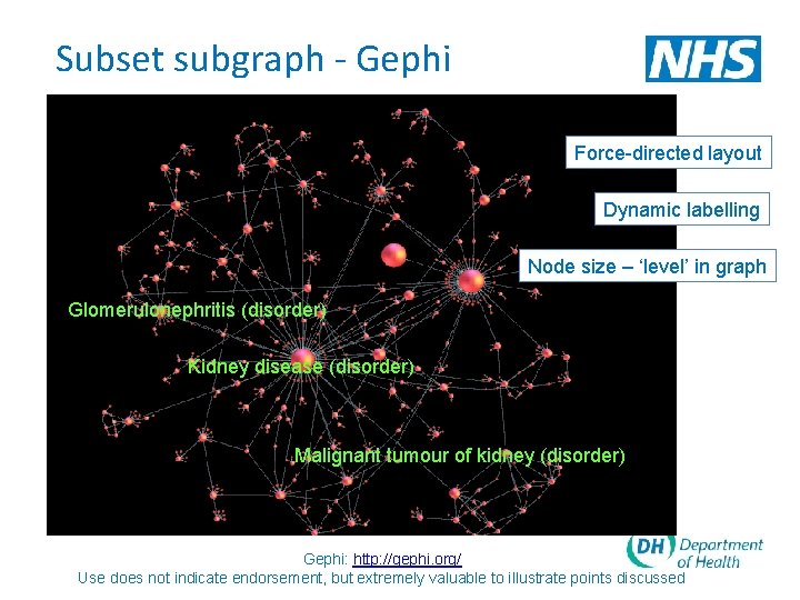 Subset subgraph - Gephi Force-directed layout Dynamic labelling Node size – ‘level’ in graph