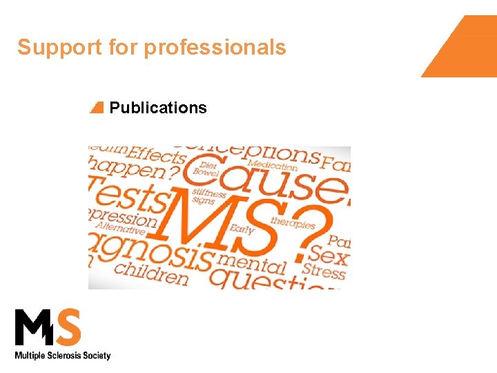 Support for professionals Publications 