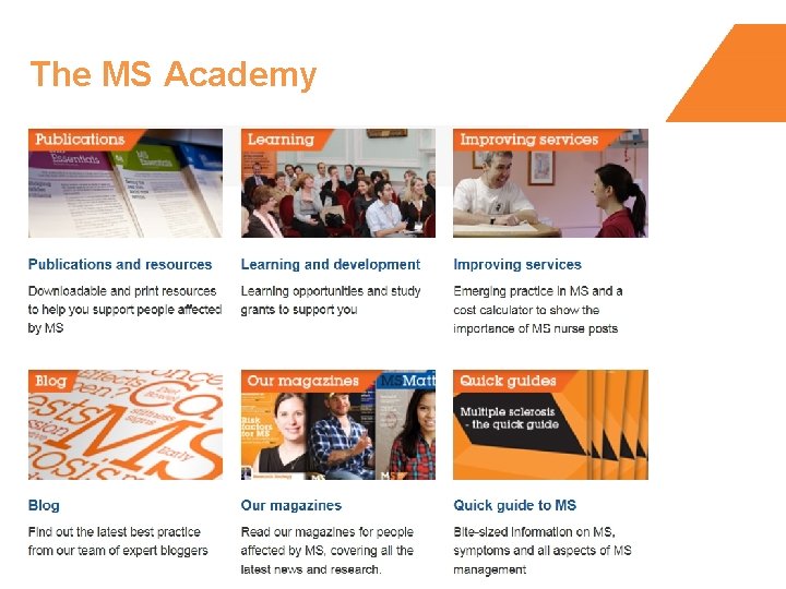 The MS Academy 