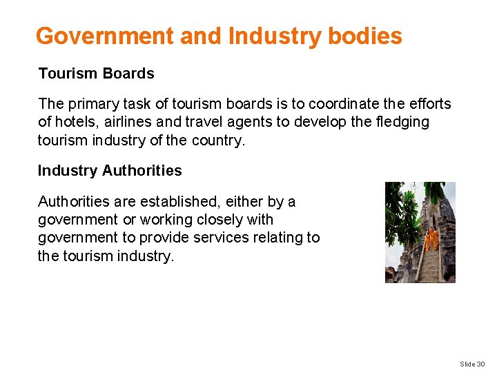 Government and Industry bodies Tourism Boards The primary task of tourism boards is to