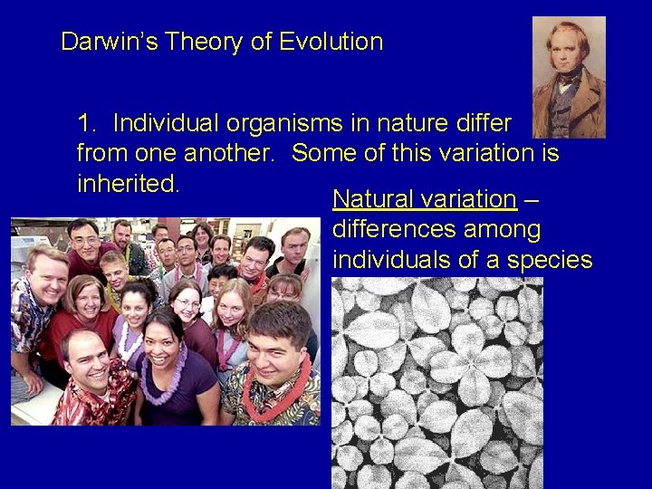 Darwin’s Theory of Evolution 1. Individual organisms in nature differ from one another. Some