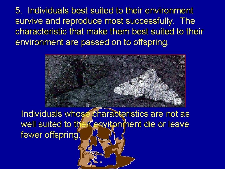 5. Individuals best suited to their environment survive and reproduce most successfully. The characteristic