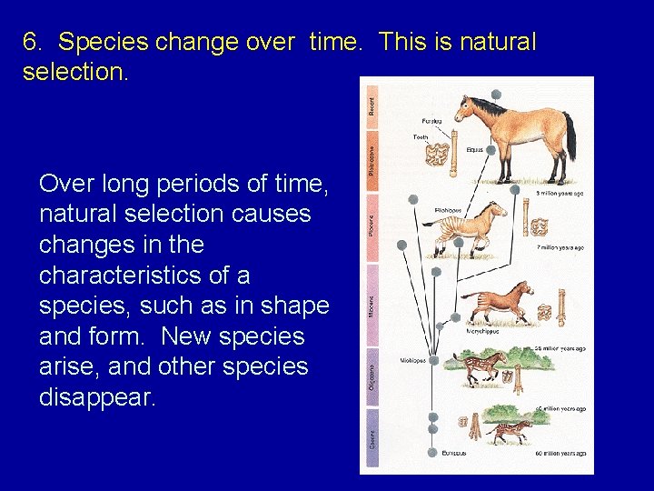 6. Species change over time. This is natural selection. Over long periods of time,