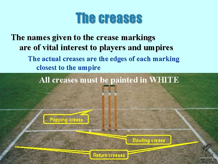 The creases The names given to the crease markings are of vital interest to