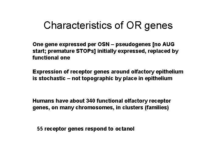 Characteristics of OR genes One gene expressed per OSN – pseudogenes [no AUG start;
