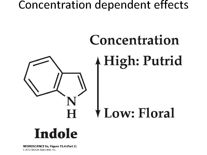 Concentration dependent effects 