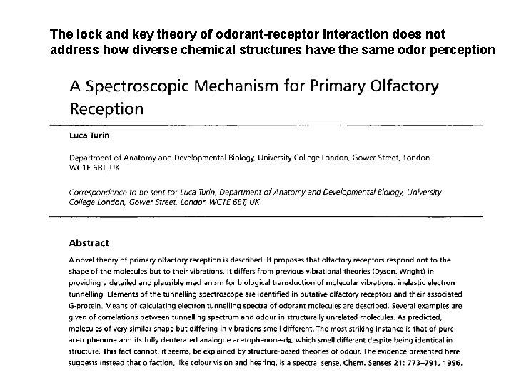 The lock and key theory of odorant-receptor interaction does not address how diverse chemical