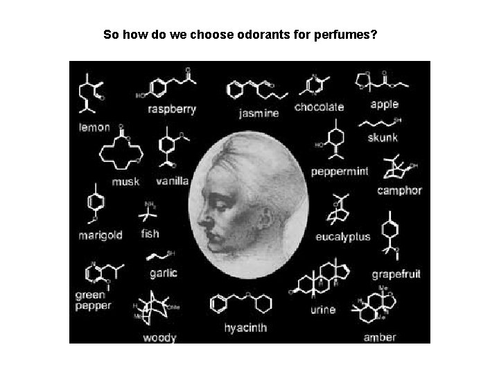 So how do we choose odorants for perfumes? 