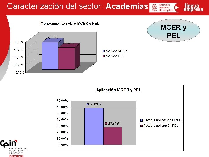 Caracterización del sector: Academias MCER y PEL 