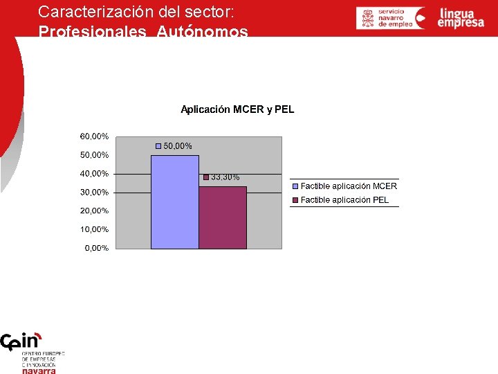 Caracterización del sector: Profesionales Autónomos 