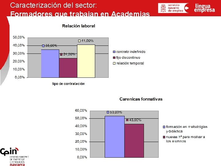 Caracterización del sector: Formadores que trabajan en Academias 