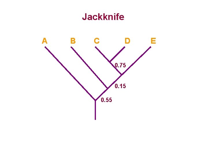 Jackknife A B C D 0. 75 0. 15 0. 55 E 