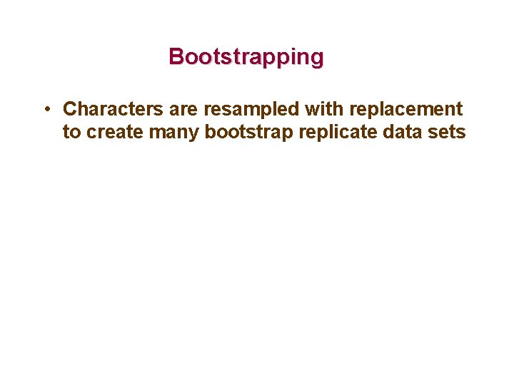 Bootstrapping • Characters are resampled with replacement to create many bootstrap replicate data sets