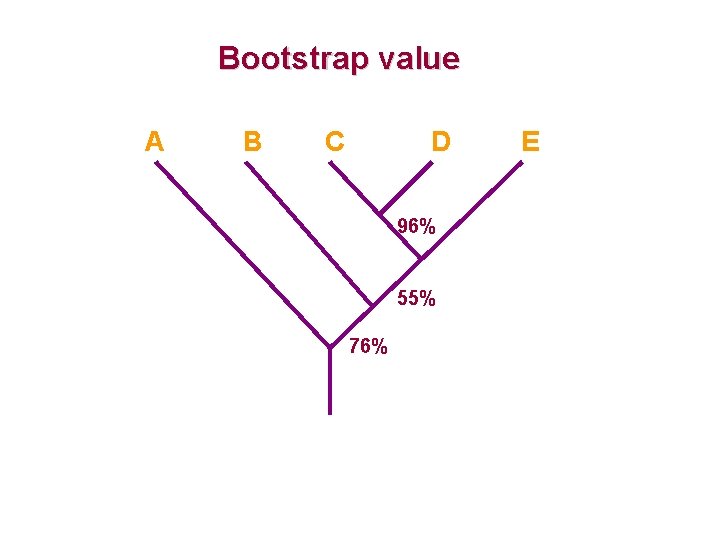 Bootstrap value A B C D 96% 55% 76% E 