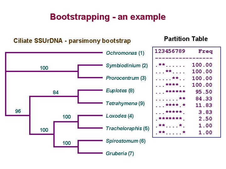 Bootstrapping - an example Ciliate SSUr. DNA - parsimony bootstrap 123456789 Freq --------Symbiodinium (2).