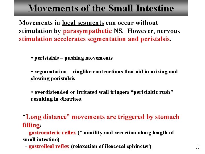 Movements of the Small Intestine Movements in local segments can occur without stimulation by