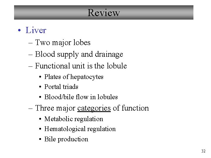 Review • Liver – Two major lobes – Blood supply and drainage – Functional
