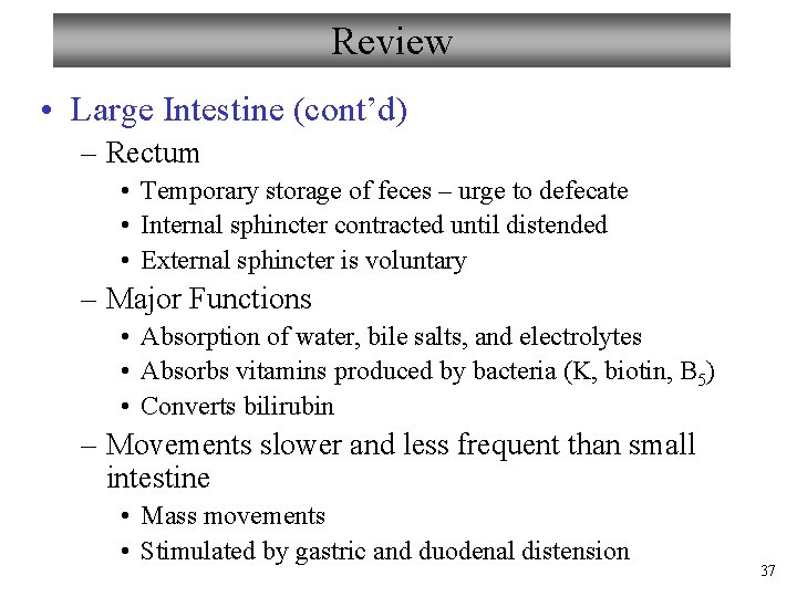 Review • Large Intestine (cont’d) – Rectum • Temporary storage of feces – urge