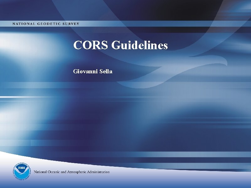 CORS Guidelines Giovanni Sella 