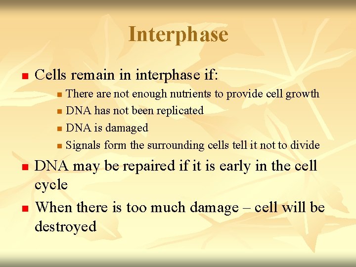 Interphase n Cells remain in interphase if: There are not enough nutrients to provide