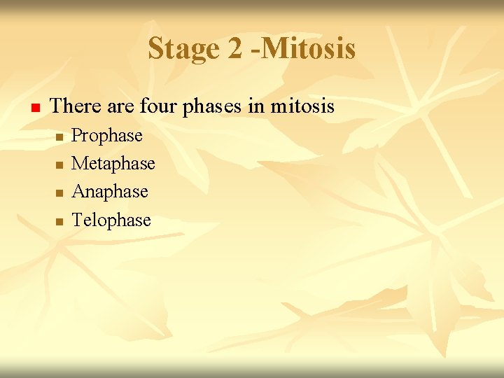 Stage 2 -Mitosis n There are four phases in mitosis n n Prophase Metaphase