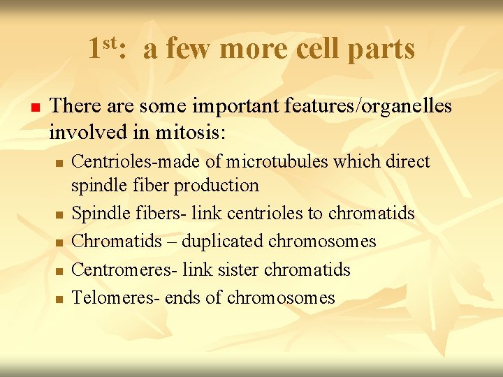 1 st: a few more cell parts n There are some important features/organelles involved