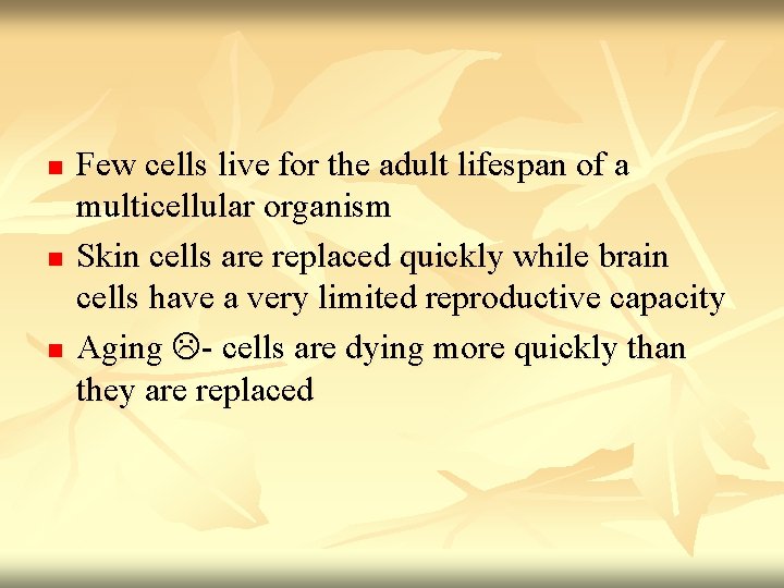 n n n Few cells live for the adult lifespan of a multicellular organism