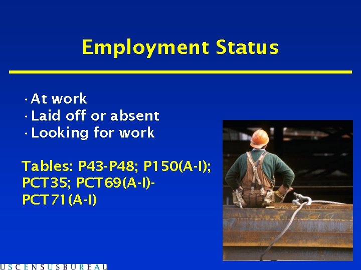 Employment Status • At work • Laid off or absent • Looking for work