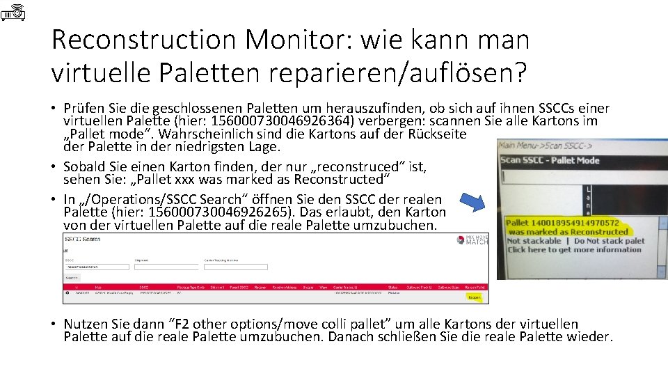 Reconstruction Monitor: wie kann man virtuelle Paletten reparieren/auflösen? • Prüfen Sie die geschlossenen Paletten