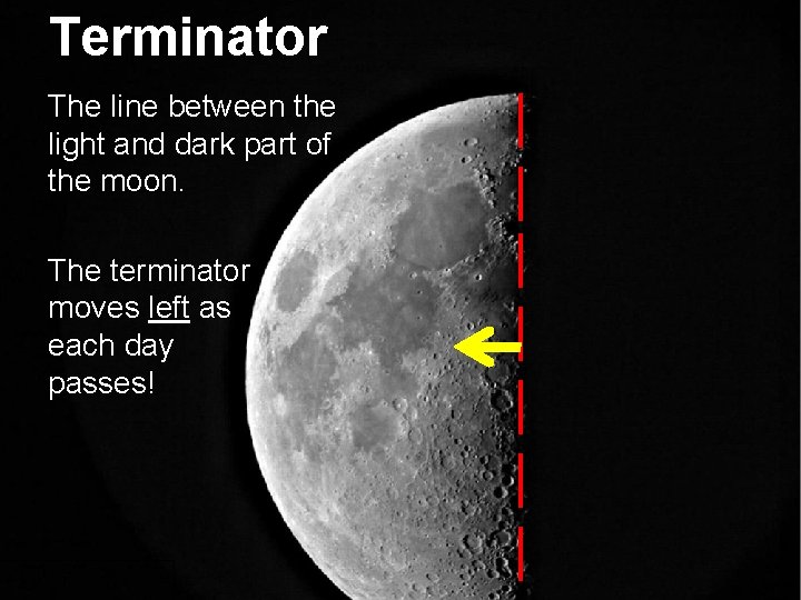 Terminator The line between the light and dark part of the moon. The terminator