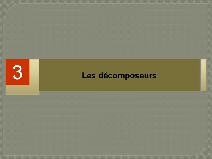 3 Les décomposeurs 
