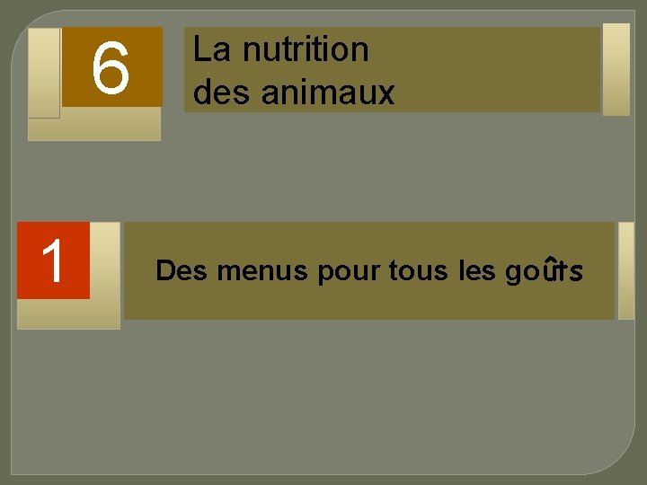 6 1 La nutrition des animaux Des menus pour tous les goûts 