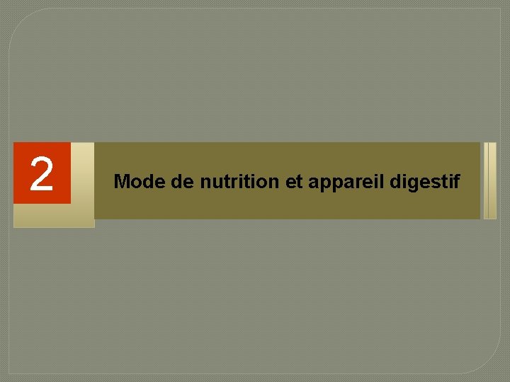 2 Mode de nutrition et appareil digestif 