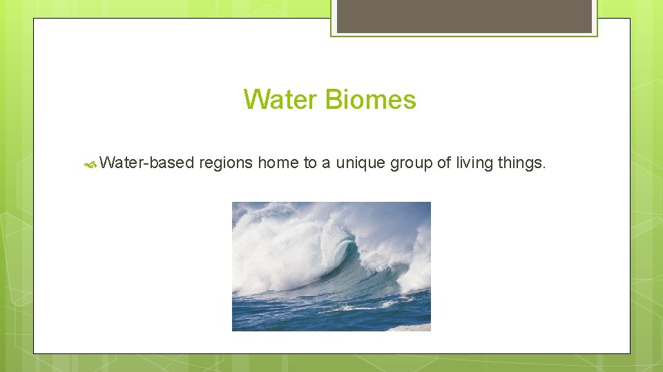 Water Biomes Water-based regions home to a unique group of living things. 