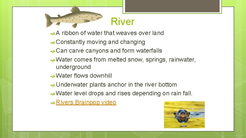 River A ribbon of water that weaves over land Constantly moving and changing Can