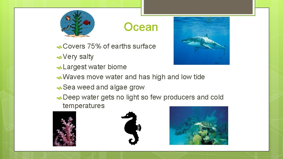 Ocean Covers 75% of earths surface Very salty Largest water biome Waves move water