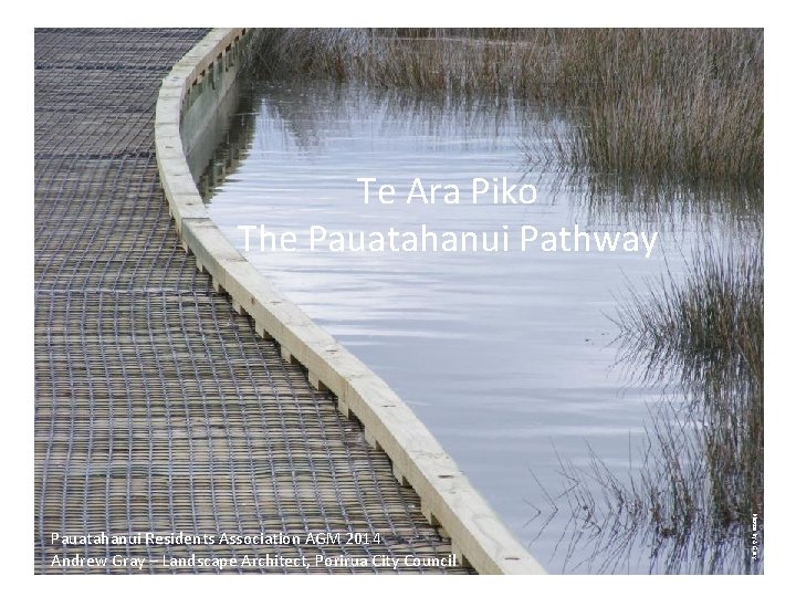 Te Ara Piko The Pauatahanui Pathway Photos by A Gray Pauatahanui Residents Association AGM