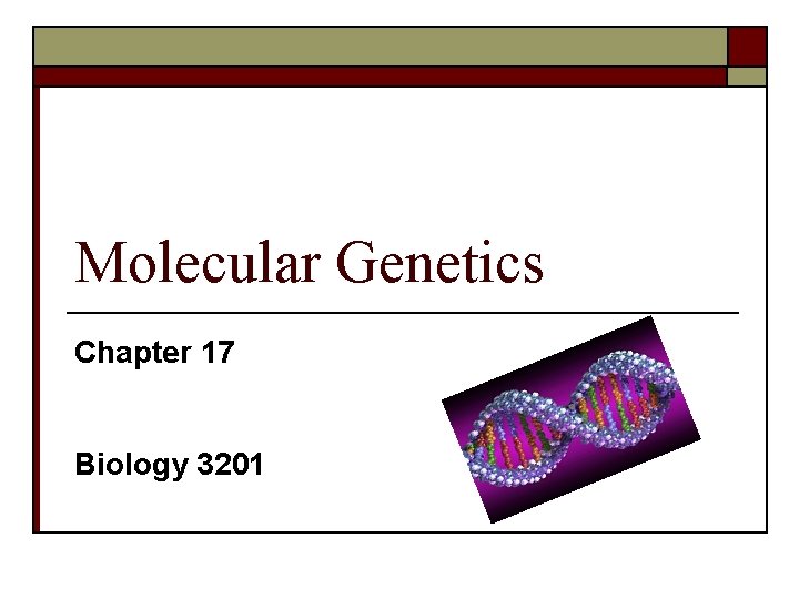 Molecular Genetics Chapter 17 Biology 3201 