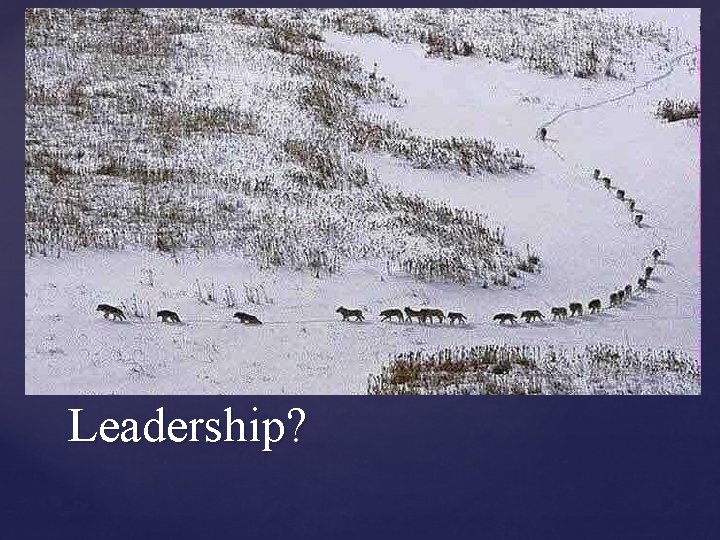 Leadership Embedding the capacity for greatness in the people and practices of an organisation,