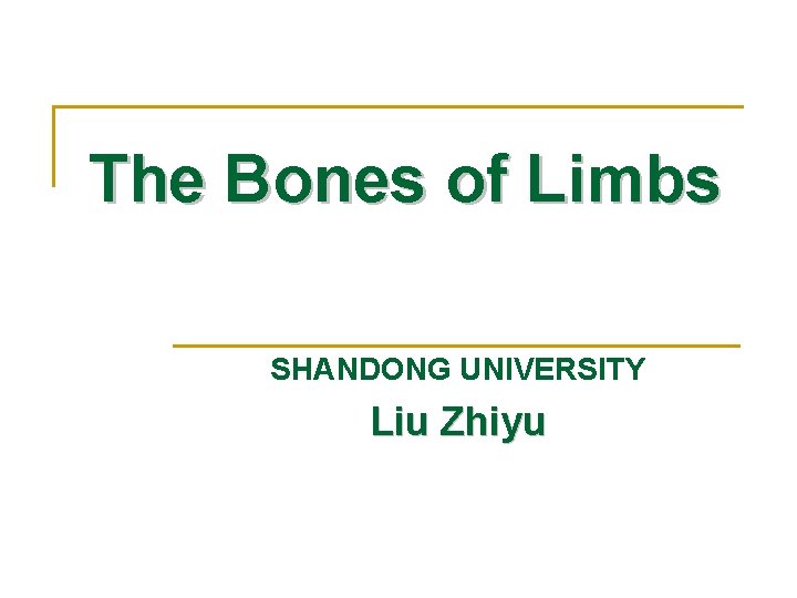 The Bones of Limbs SHANDONG UNIVERSITY Liu Zhiyu 