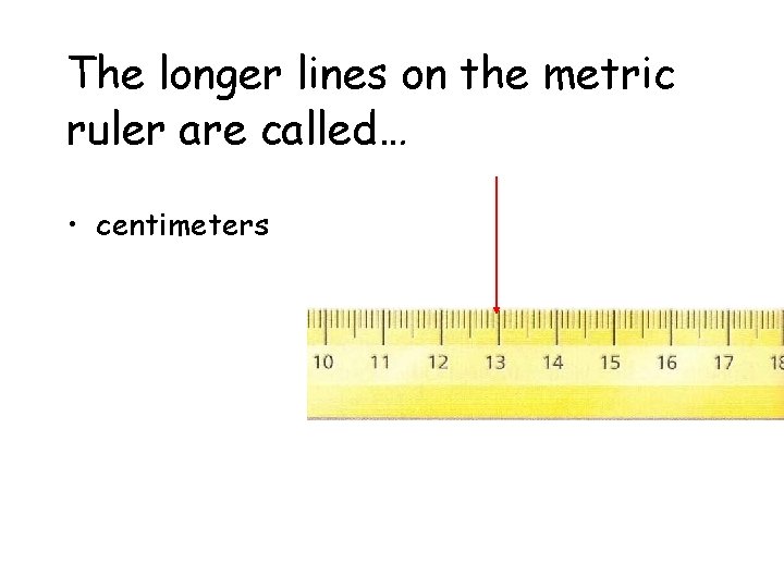 The longer lines on the metric ruler are called… • centimeters 