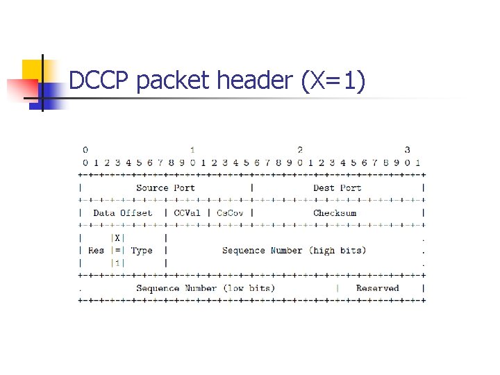 DCCP packet header (X=1) 