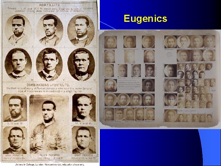 Eugenics 